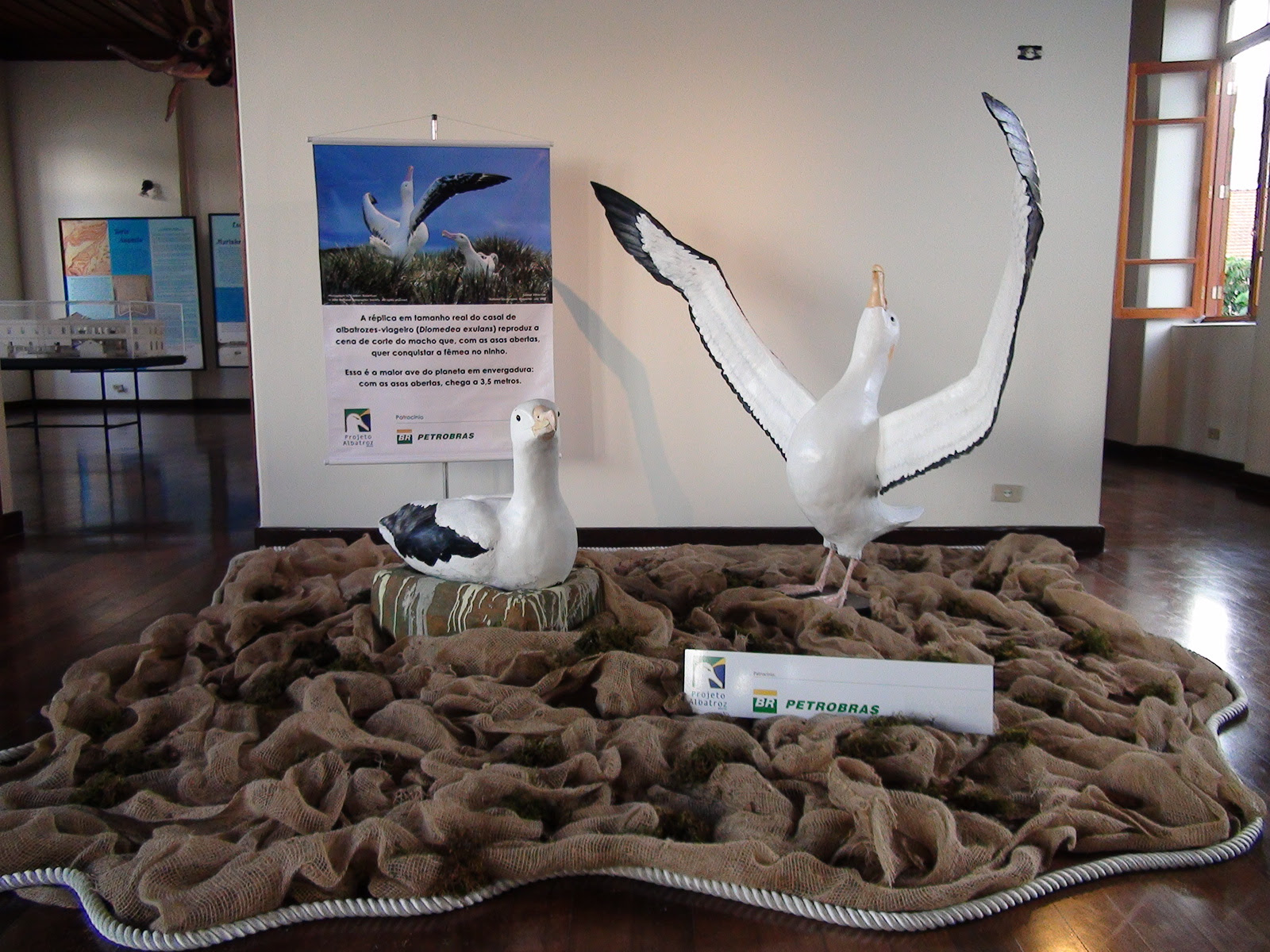Projeto Albatroz
