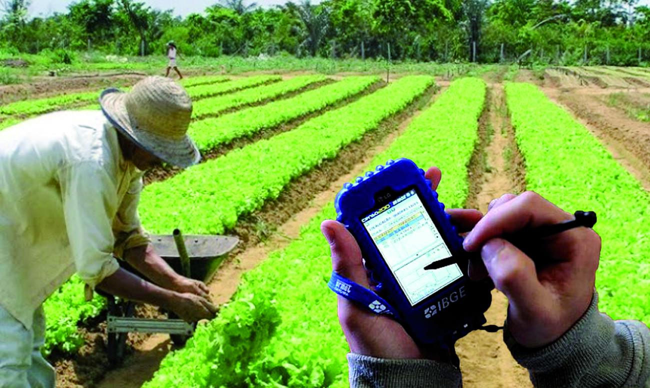 censo agropecuario 2017