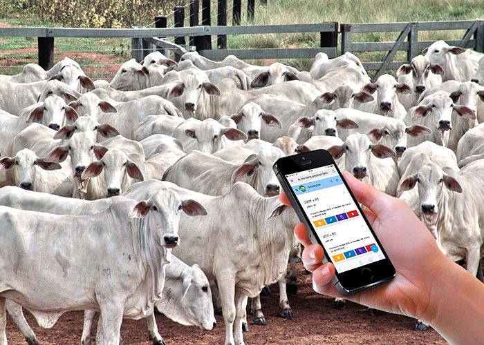 app Cria Certo_divulgacao Embrapa