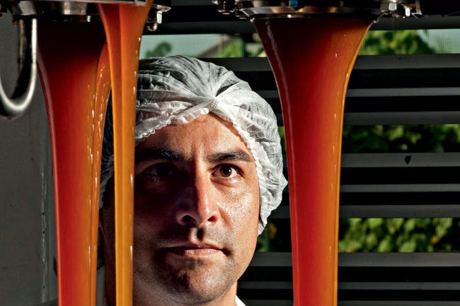 MEL DE MELATO PARA CAPA