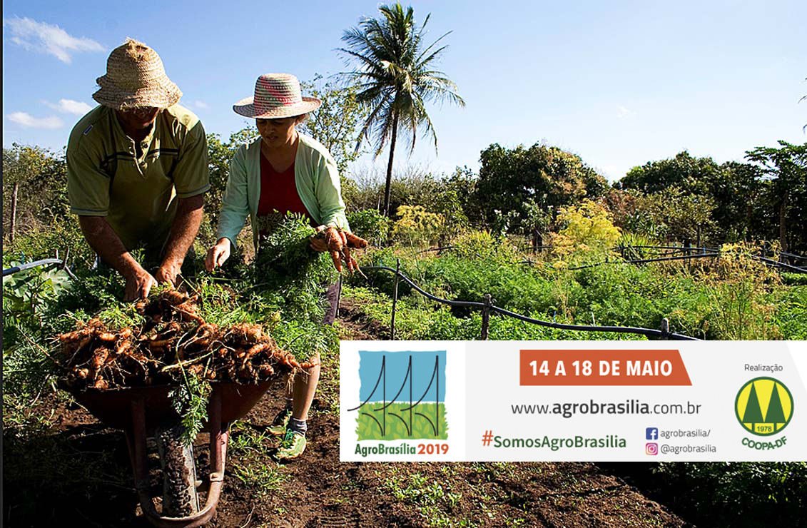 agricultura-familiar2