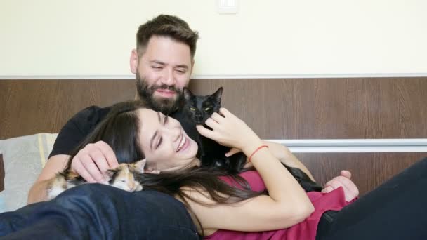 casal com gatos