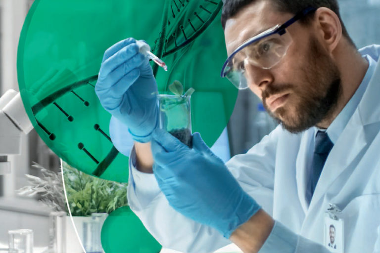 6793_fu_relatorio_01_19.indd