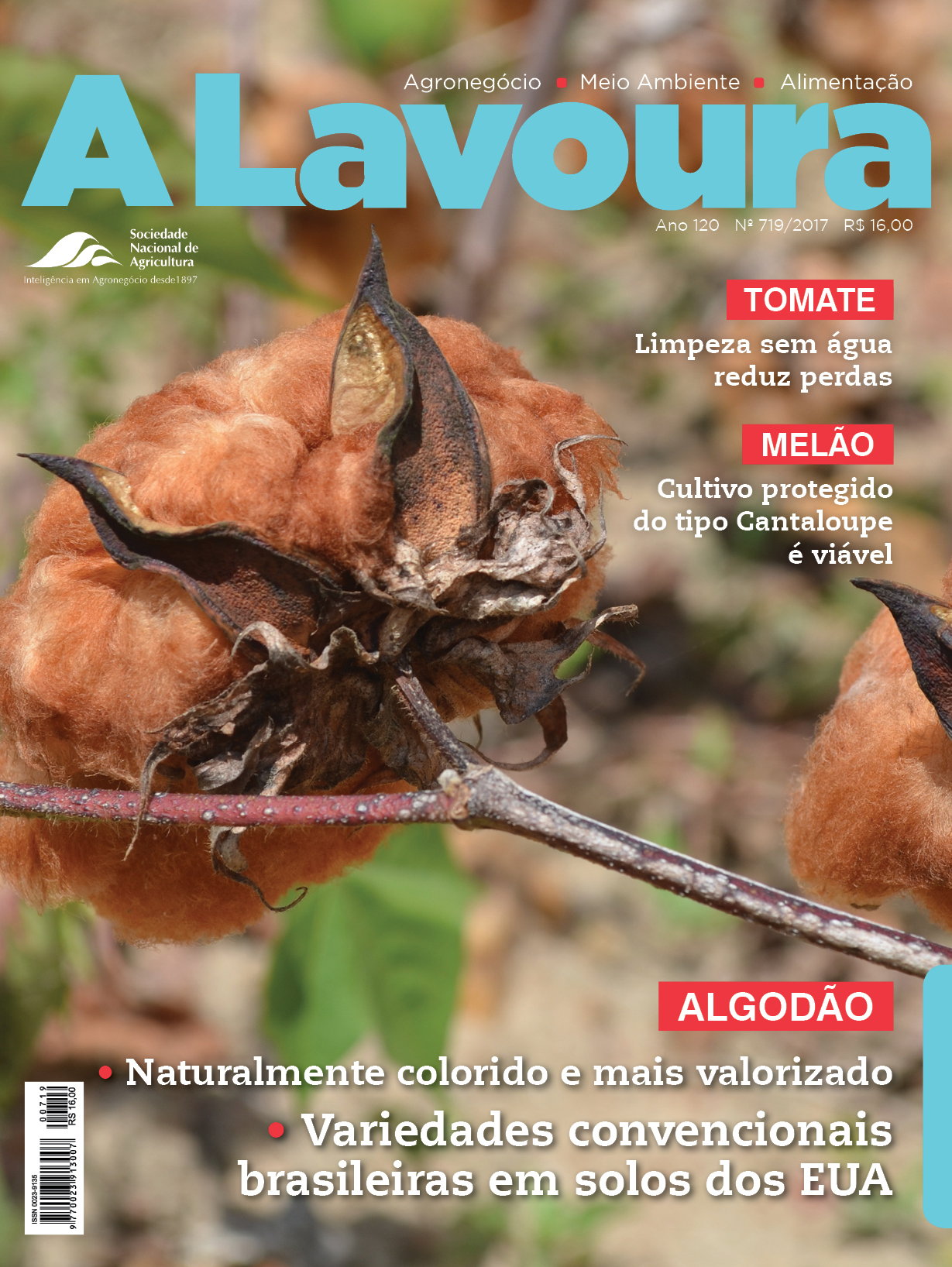 A_Lavoura_719_CAPA