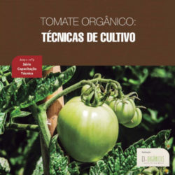 Tomate Orgânico: Técnicas de Cultivo
