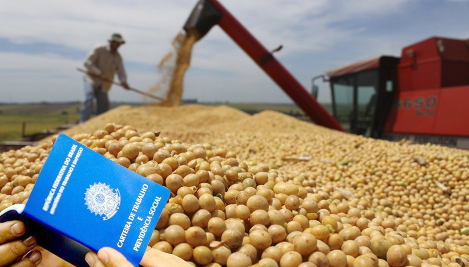 EMPREGO NO AGRONEGOCIO