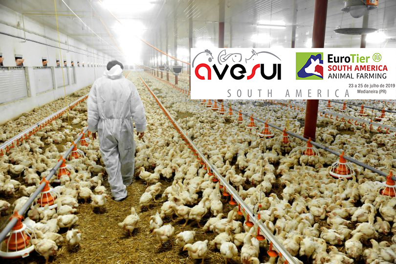 Para Facebook_ AveSui_em 1-7-2019