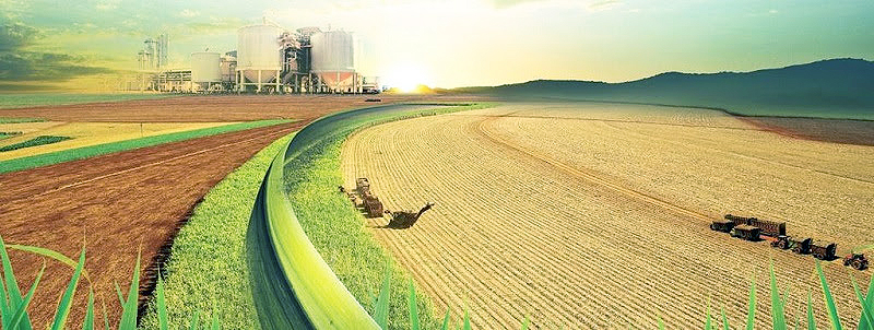 SETOR SUCROENERGETICO_FOTO DIVULGACAO