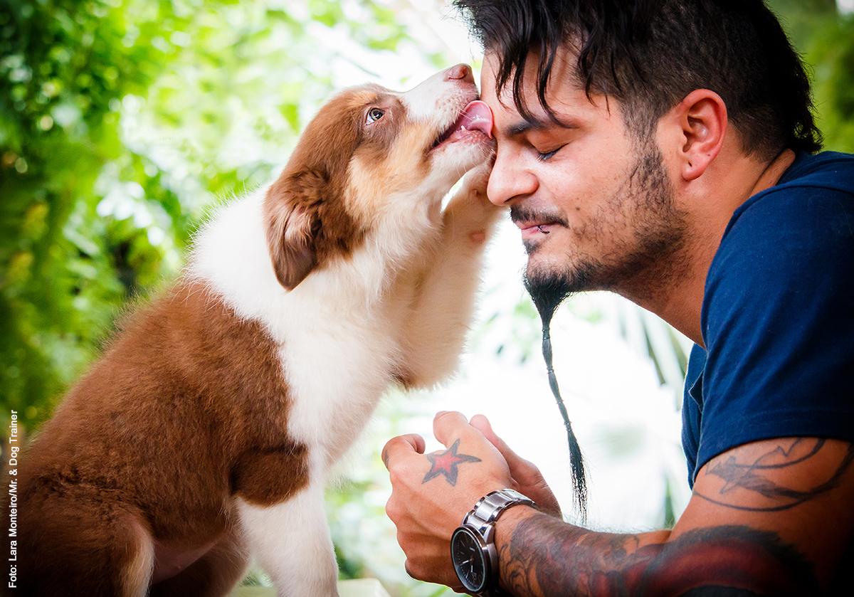 afeto pelos caes_foto Lara Monteiro_Divulgacao Mr