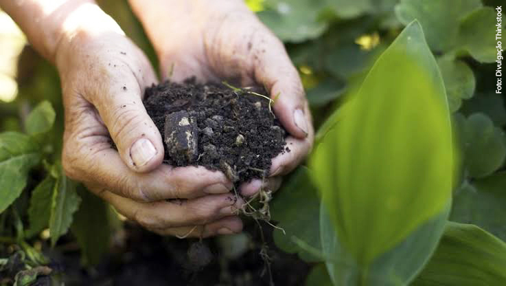 biofertilizante_Foto Divulgacao Thinkstock