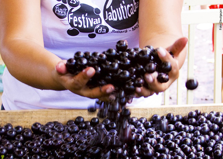 festivaldajabuticaba
