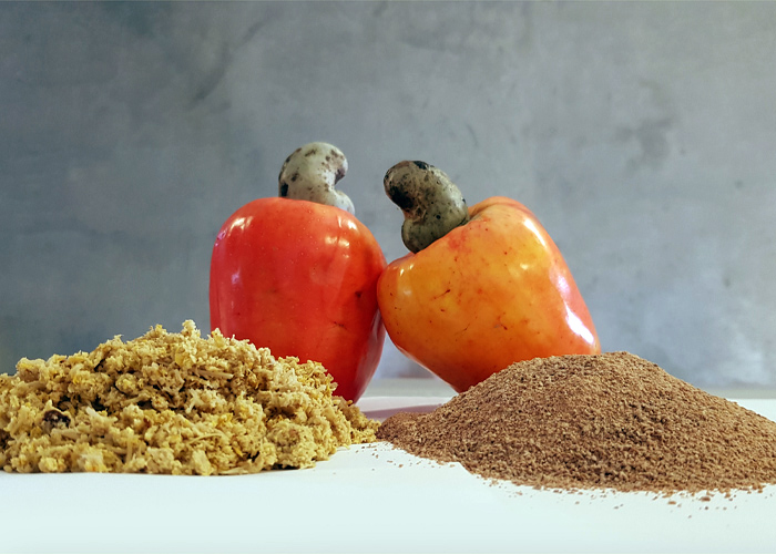 caju_Foto Ana Elisa Sidrim