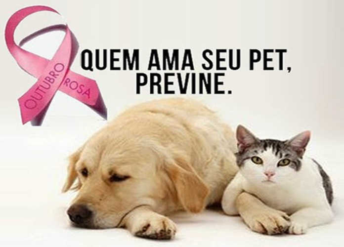Google-Outubro-Rosa-Pet-1-696×500