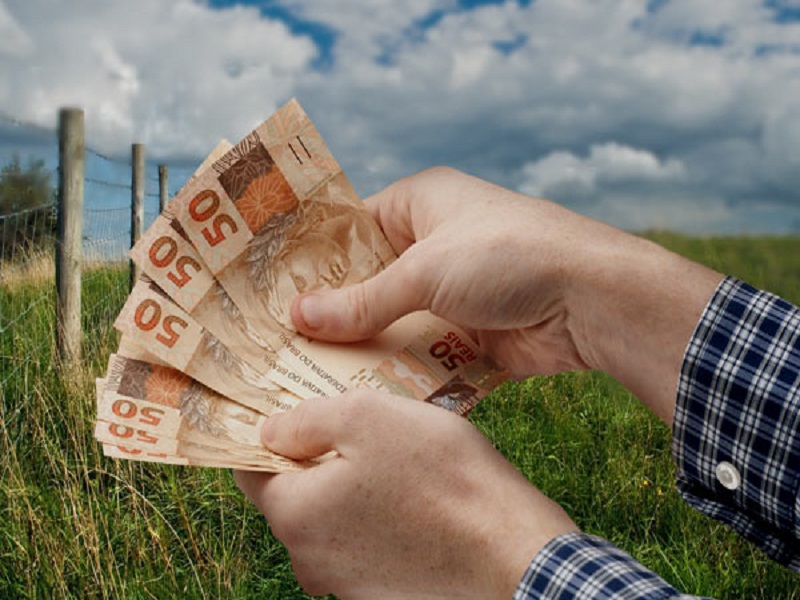 investimento em defesa agropecuaria