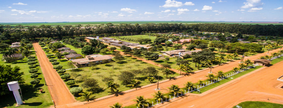 2_Fazenda Planalto_Costa Rica_MS_Foto Divulgacao