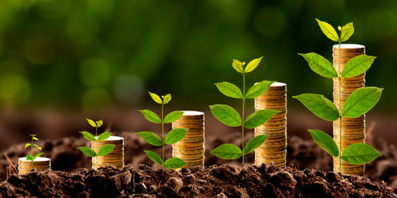 credito rural_Foto Divulgacao