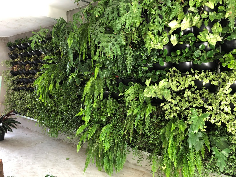 jardim vertical
