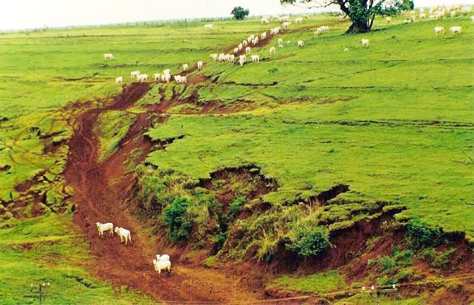 solo com erosao_Foto Divulgacao2