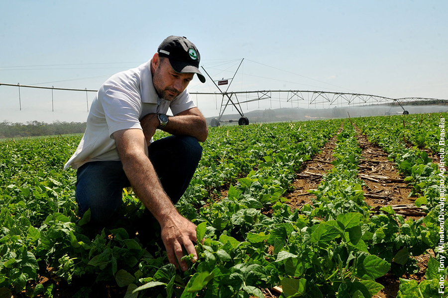 1_Irrigacao_Foto Tony Winston_Agencia Brasília