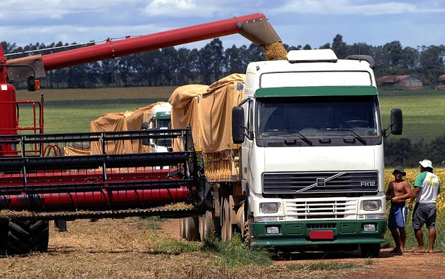 Caminhao de soja_Foto Divulgacao