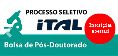 Processo seletivo Ital