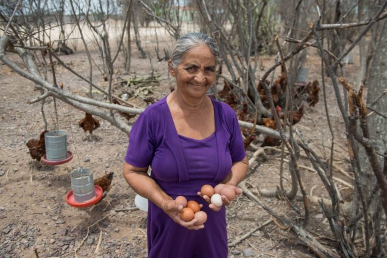 Acoes-Pro-Semiarido (1)