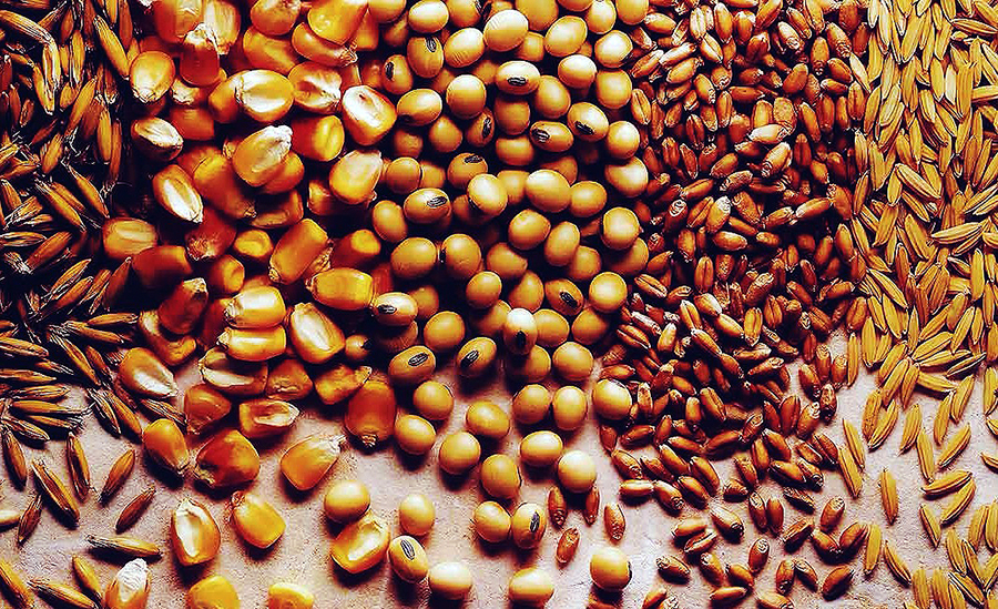 Processed with VSCOcam with f2 preset