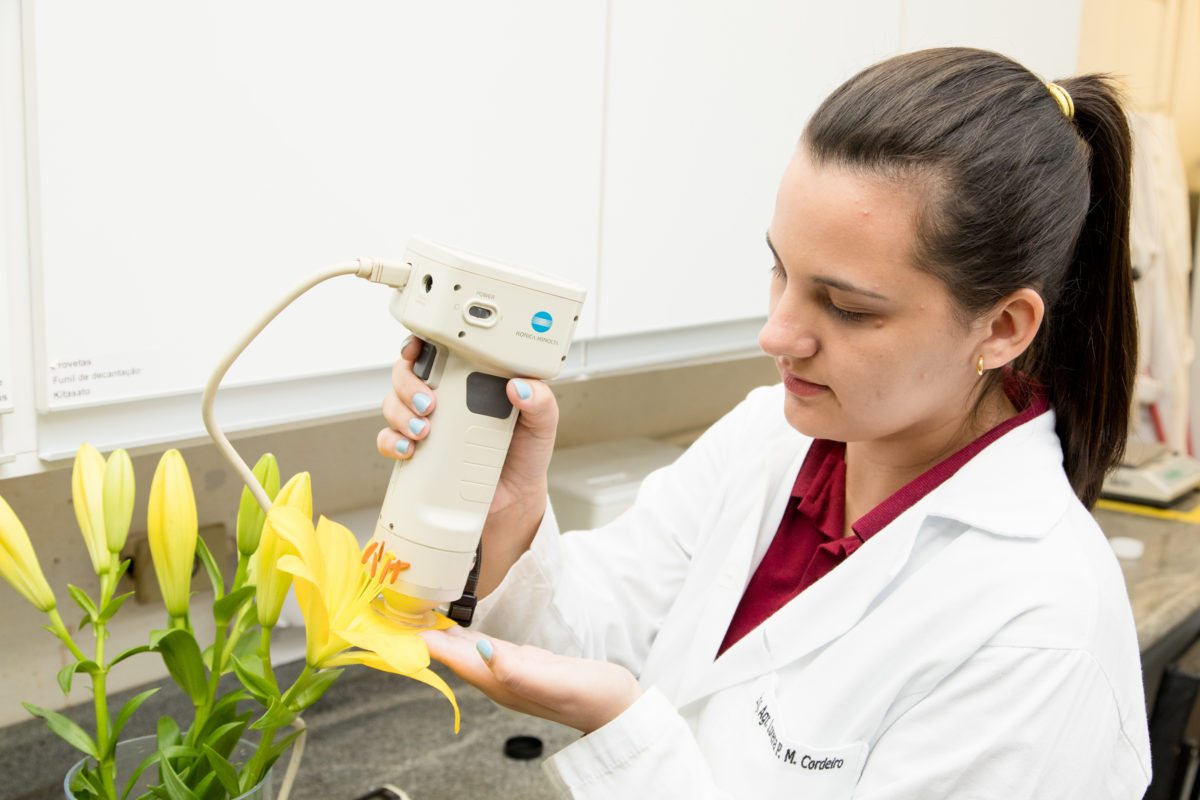 Pesquisadora utiliza o colorímetro, equipamento que faz análise da cor da flor – Gerhard Waller (2)