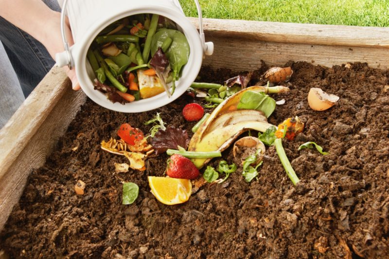 Aprenda como fazer adubo em casa usando sobras de alimentos - A Lavoura