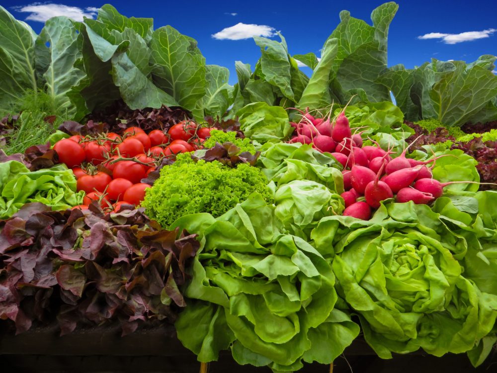 0 – FOTO ABRE- salad-radishes-tomatoes-vegetables-wallpaper