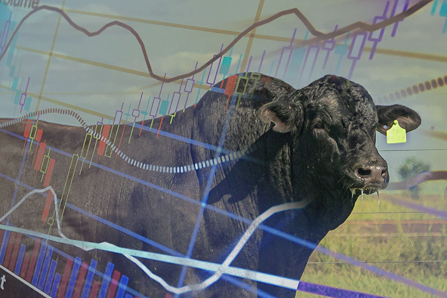 renascer-biotecnologia-blog-900x600_1902_2