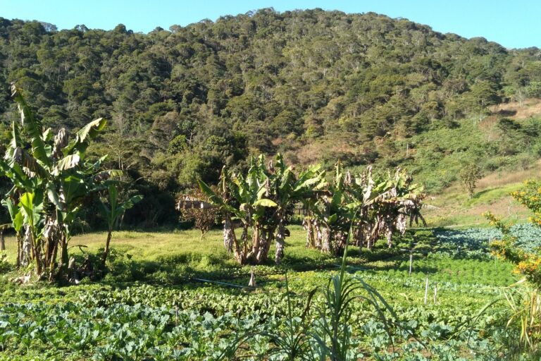 0 – FOTO ABRE- ORIGINAL- IMG_20180729_085001051