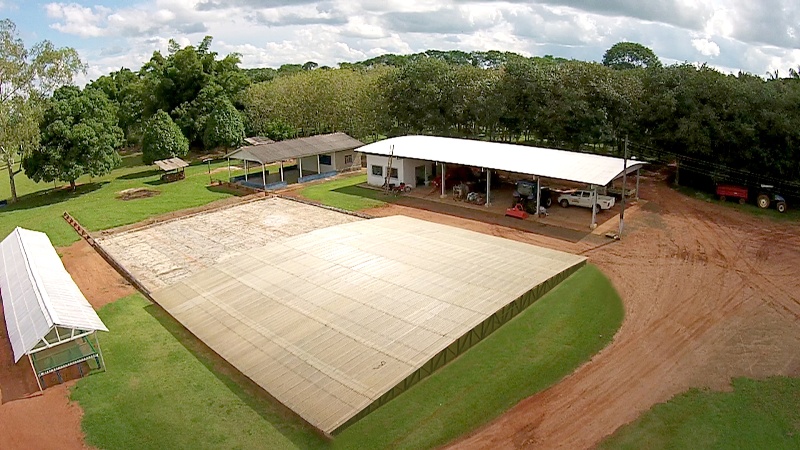 0-Barcaca Seca Cafe-Rafael Rocha-Embrapa Rondonia