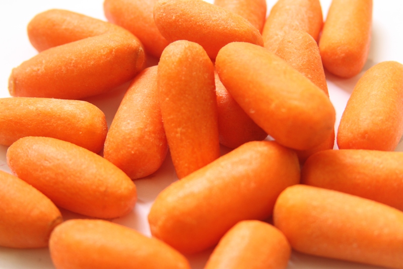 0-Cenoura BRS Planaltina-Foto Henrique Carvalho-Embrapa