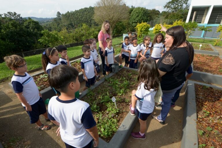 0-FOTO ABRE-pancs_emeb_oscar_augusto_guelli