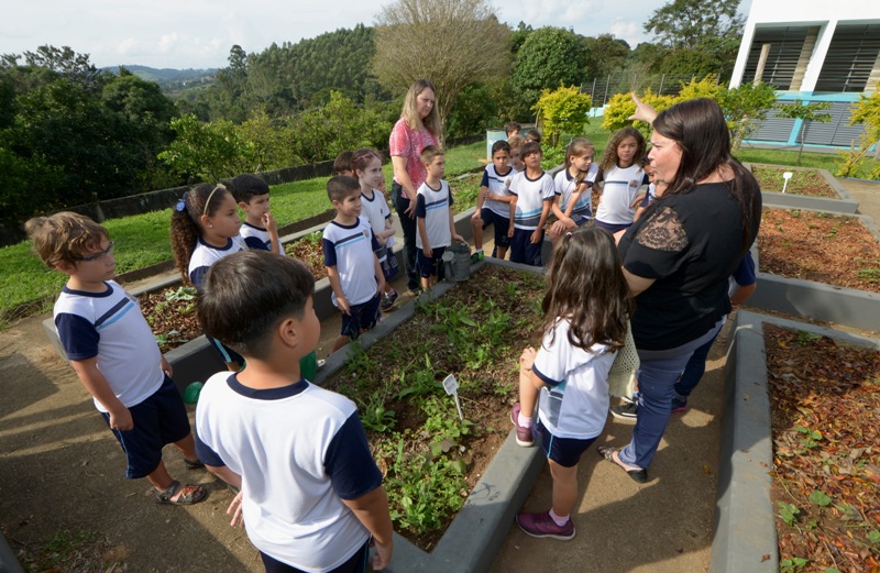 0-FOTO ABRE-pancs_emeb_oscar_augusto_guelli