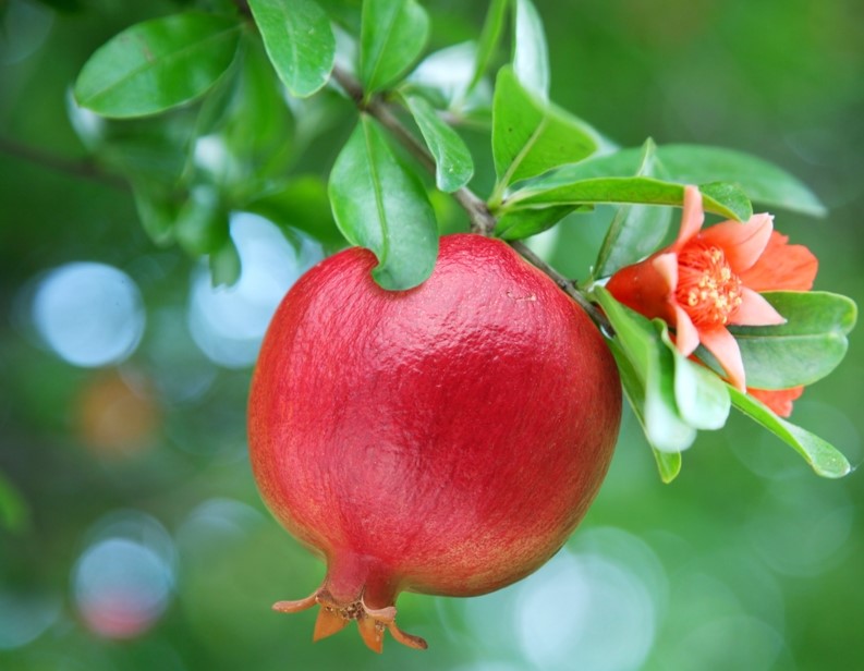 0-shutterstock_63139900