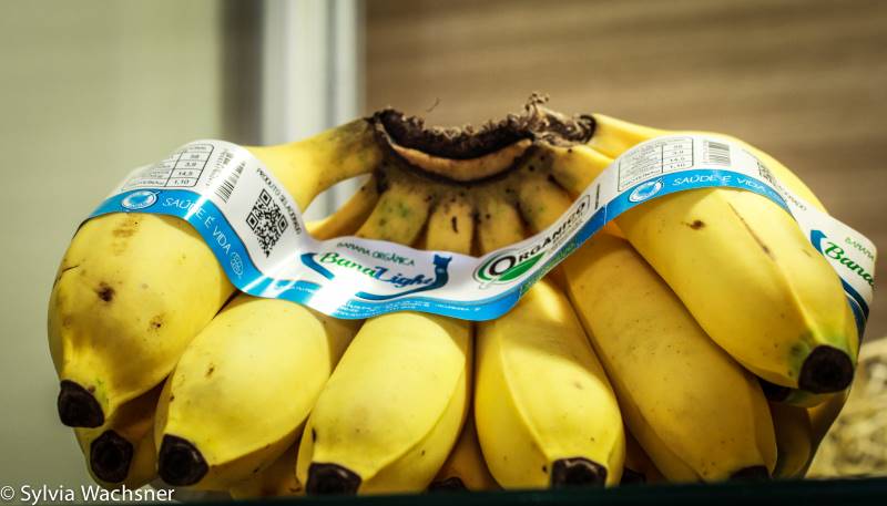 Banana organica-foto Sylvia Wachsner