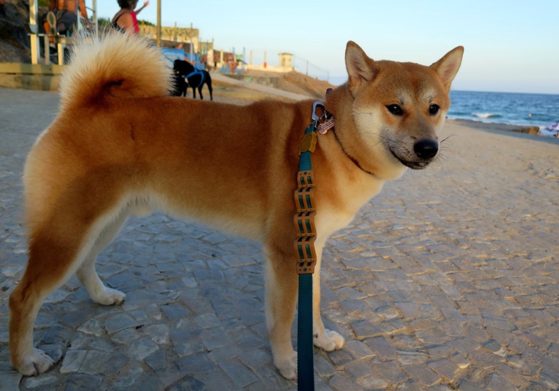 FOTO ABRE-IMG_3574 -copia