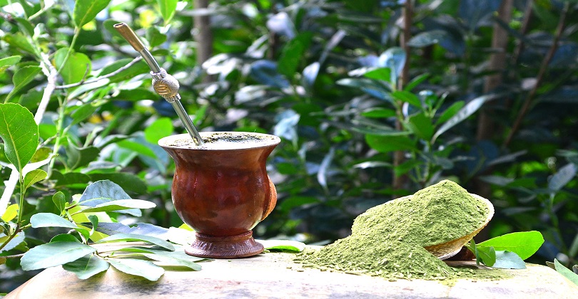 erva-mate-destaque