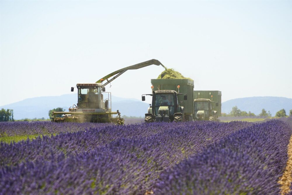 Exploitation Aubry – Plateau de Valensole
