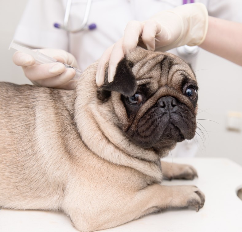 shutterstock_191329472