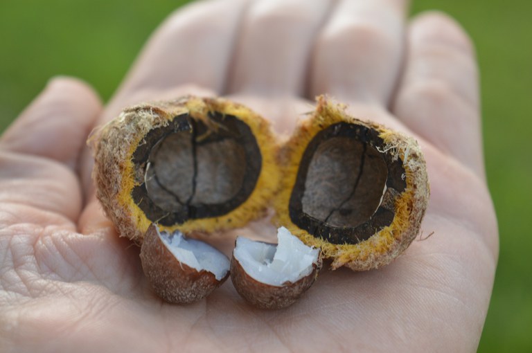 6d18bb95-a31a-44fd-bec7-24887224aa95