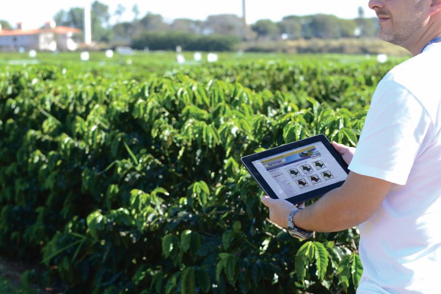 Agritempo_Neide Makiko Furukawa