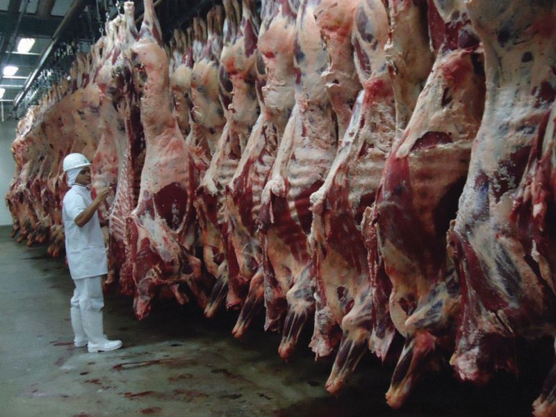 Carne-Credito Divulgacao