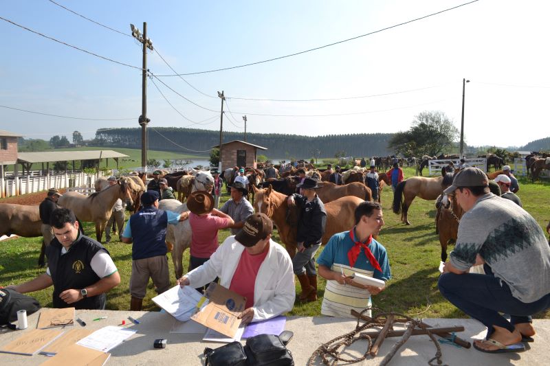 Mobilizacao contra mormo em General Camara_Emater-RS
