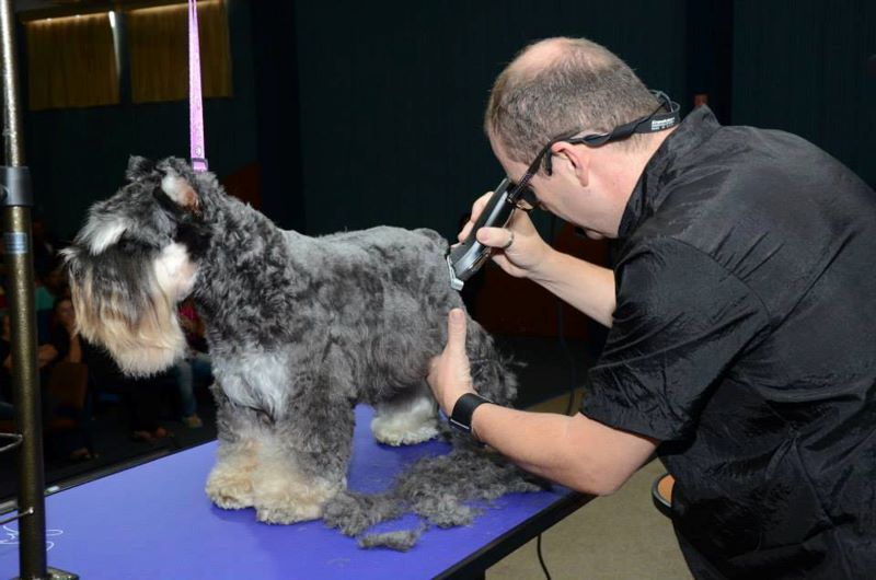 Tosa_Verao_Waldecir_