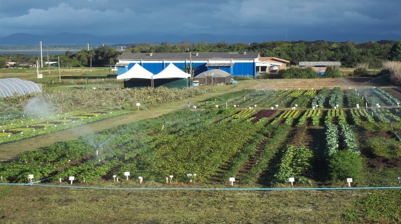 biofertilizante-organico-ufpr-MC-divulgacao-1-1