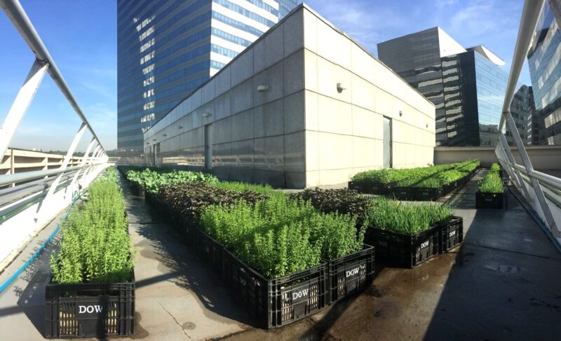 0 – FOTO ABRE – plant2 – Copia