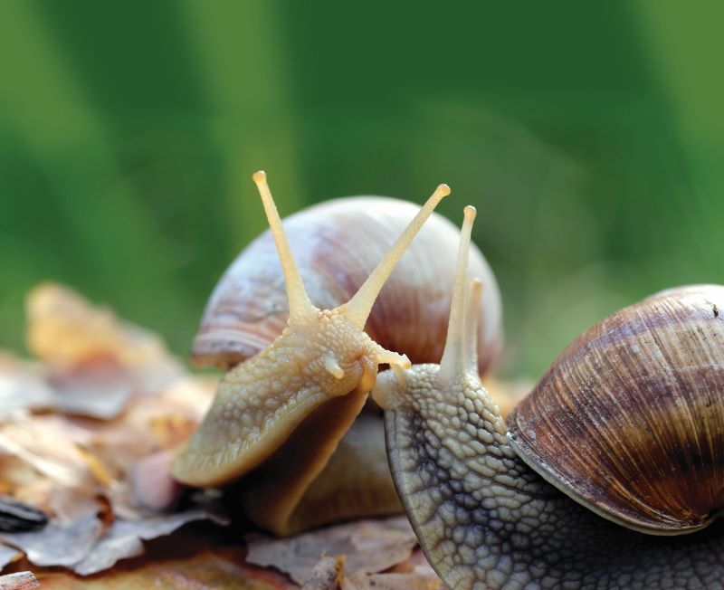 00-shutterstock_77494888